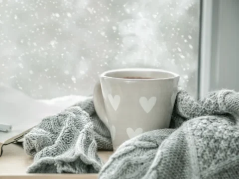 אוכל מנחם לחורף