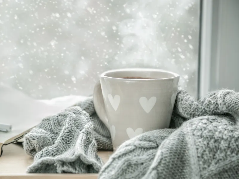 אוכל מנחם לחורף