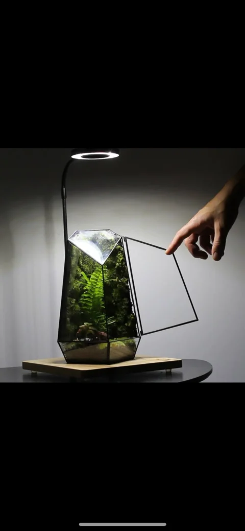 קרדיט תמונה: טבע בזכוכית, nature in glass