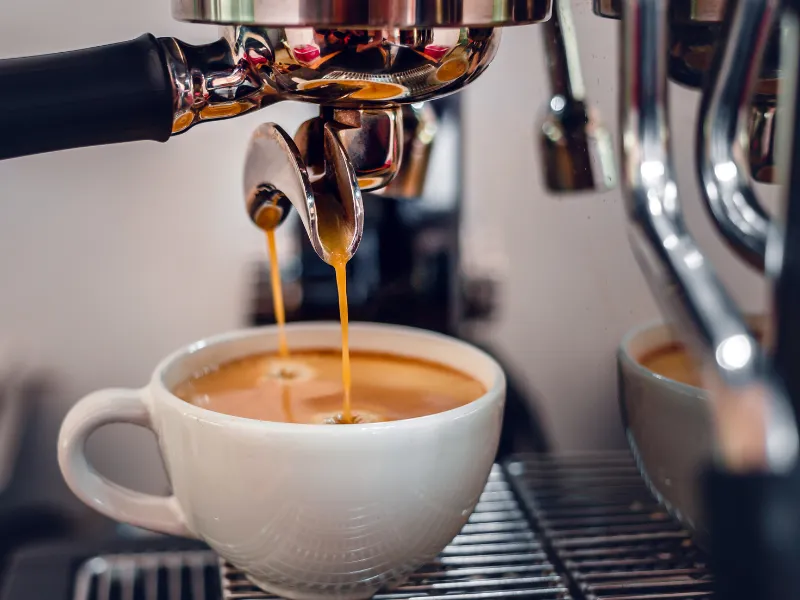 במאמר הזה תמצאו הסברים מלאים על הדגמים המובילים, ההבדלים ביניהם, ולמי כל אחד מהם מתאים.