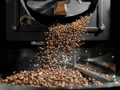 איך לבחור פולי קפה שמתאימים לכם? מדריך מלא לחובבי קפה